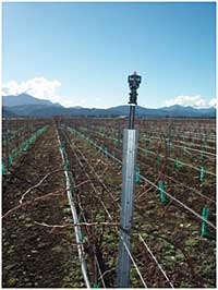 Overhead circular pattern sprinkler used for frost protection on a Marlborough vineyard