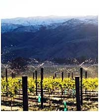 Overhead sprinklers for frost control